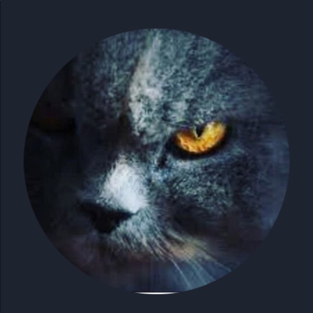 Meet your Posher, Sainsoit